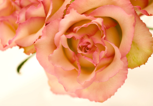 649296 (a): :2750x1900